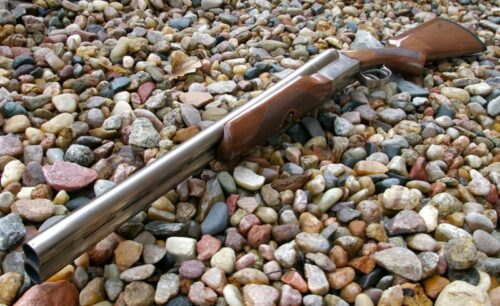 Stoeger Uplander Field Shotgun