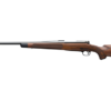 Buy Winchester Model-70 Rifle