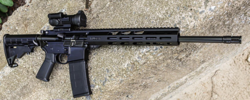 Buy Ruger AR556 Rifle