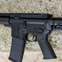 Buy Ruger AR556 Rifle